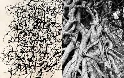 Calligraphy Monica Dengo Calligrafia